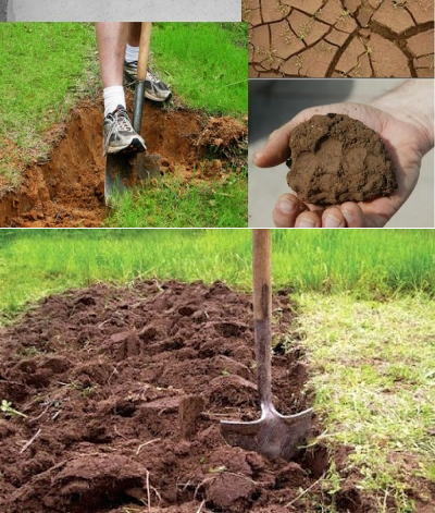 что делать если почва глинистая